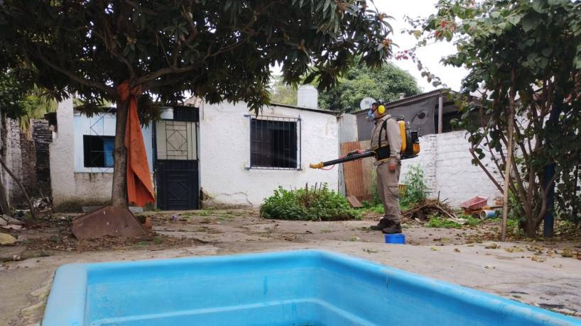 "Es crucial": el pedido de Salud a los tucumanos tras diez días sin casos de dengue - Tucumán