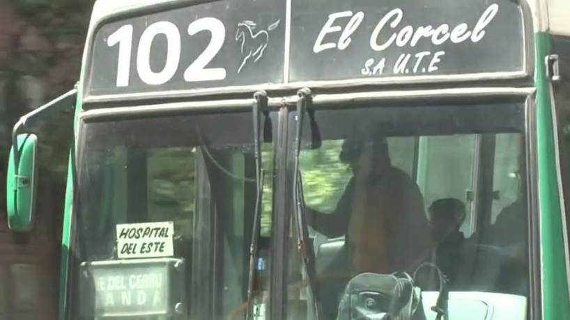 "¿Así quieren aumentar el boleto, c...?": furia y gritos contra el chofer del 102 hace instantes en Tucumán - Tucumán