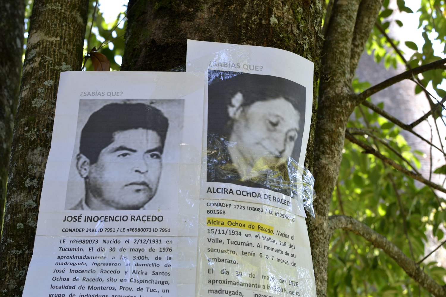 Memoria en marcha: un recorrido por los lugares donde empezó el genocidio